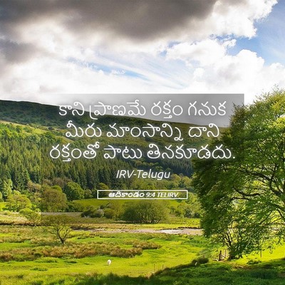 Picture 05 - ఆదికాండం 9:4 TELIRV - కాని ప్రాణమే - Bible Verse Picture