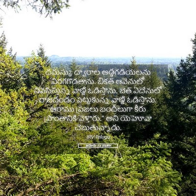 Picture 05 - ఆమోసు 1:5 TELIRV - దమస్కు ద్వారాల - Bible Verse Picture