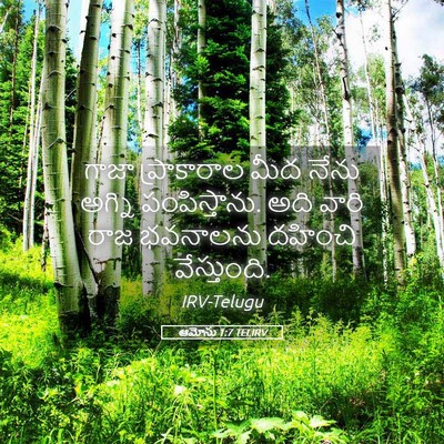 Picture 05 - ఆమోసు 1:7 TELIRV - గాజా ప్రాకారాల - Bible Verse Picture