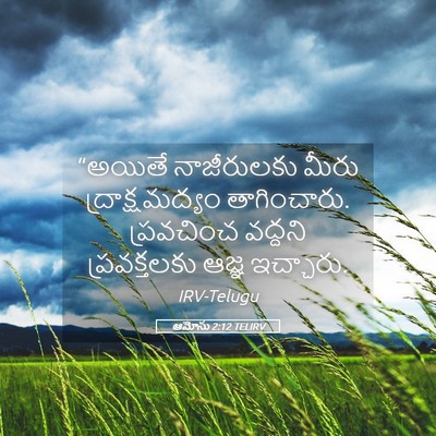 Picture 05 - ఆమోసు 2:12 TELIRV - “అయితే నాజీరులకు - Bible Verse Picture