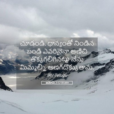 Picture 05 - ఆమోసు 2:13 TELIRV - చూడండి. ధాన్యంతో - Bible Verse Picture