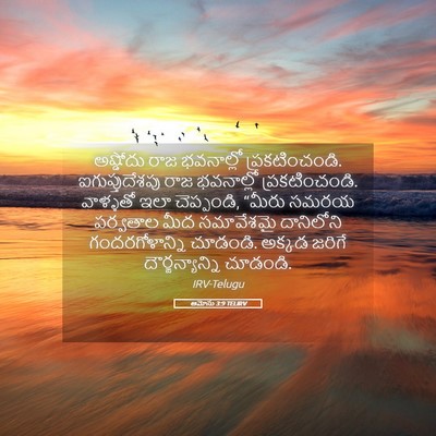 Picture 05 - ఆమోసు 3:9 TELIRV - అష్డోదు రాజ - Bible Verse Picture