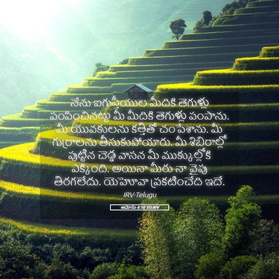 Picture 05 - ఆమోసు 4:10 TELIRV - నేను ఐగుప్తీయుల - Bible Verse Picture
