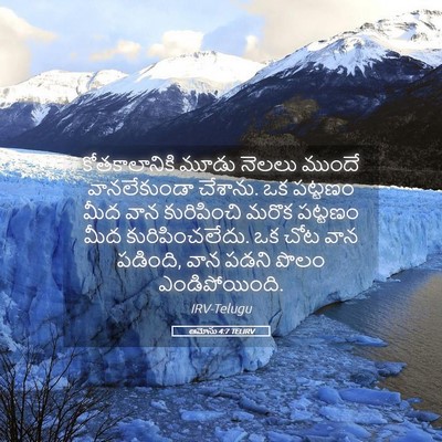 Picture 05 - ఆమోసు 4:7 TELIRV - కోతకాలానికి మూడు - Bible Verse Picture
