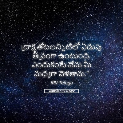Picture 05 - ఆమోసు 5:17 TELIRV -  - Bible Verse Picture