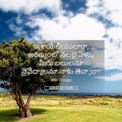 Picture 05 - ఆమోసు 5:25 TELIRV - ఇశ్రాయేలీయులారా, - Bible Verse Picture
