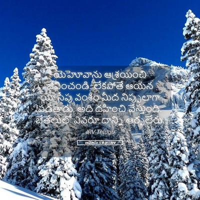 Picture 05 - ఆమోసు 5:6 TELIRV - యెహోవాను - Bible Verse Picture