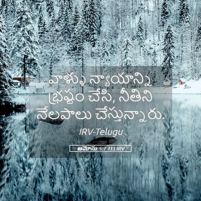 Picture 05 - ఆమోసు 5:7 TELIRV - వాళ్ళు న్యాయాన్ని - Bible Verse Picture