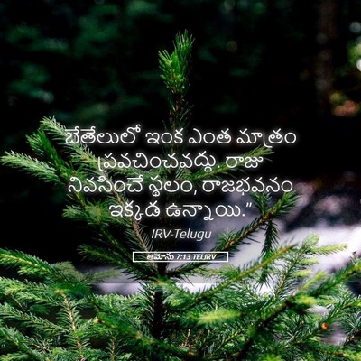 Picture 05 - ఆమోసు 7:13 TELIRV - బేతేలులో ఇంక ఎంత - Bible Verse Picture