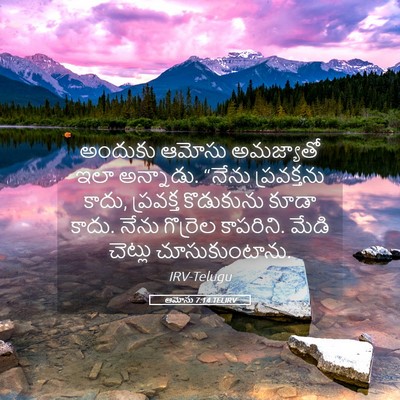 Picture 05 - ఆమోసు 7:14 TELIRV - అందుకు ఆమోసు - Bible Verse Picture