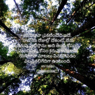 Picture 05 - ఆమోసు 8:11 TELIRV - యెహోవా - Bible Verse Picture
