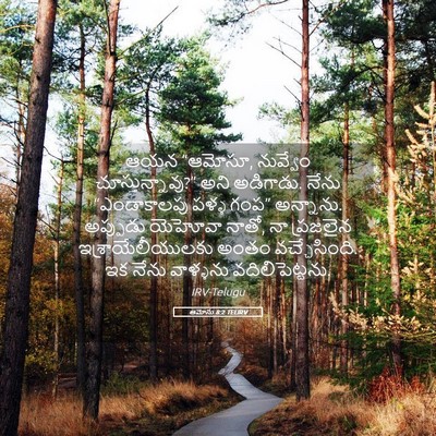 Picture 05 - ఆమోసు 8:2 TELIRV - ఆయన “ఆమోసూ, - Bible Verse Picture