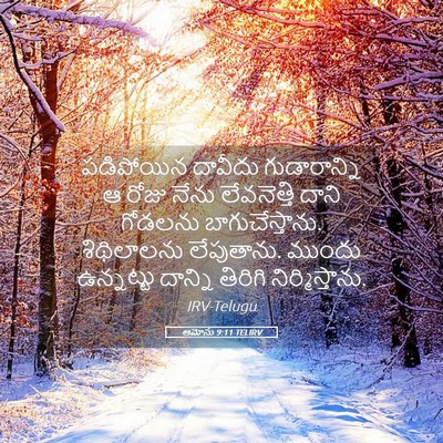 Picture 05 - ఆమోసు 9:11 TELIRV - పడిపోయిన దావీదు - Bible Verse Picture