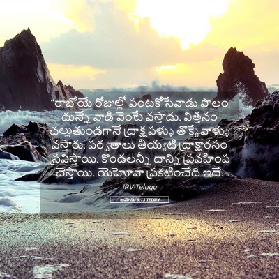 Picture 05 - ఆమోసు 9:13 TELIRV - “రాబోయే రోజుల్లో - Bible Verse Picture