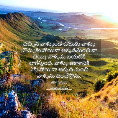 Picture 05 - ఆమోసు 9:2 TELIRV - చచ్చిన వాళ్ళుండే - Bible Verse Picture