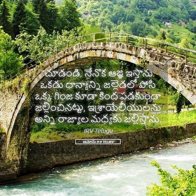 Picture 05 - ఆమోసు 9:9 TELIRV - “చూడండి. నేనొక - Bible Verse Picture
