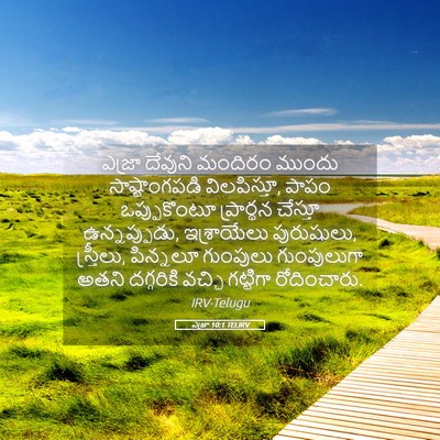 Picture 05 - ఎజ్రా 10:1 TELIRV - ఎజ్రా దేవుని - Bible Verse Picture