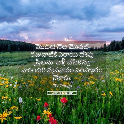 Picture 05 - ఎజ్రా 10:17 TELIRV - మొదటి నెల మొదటి - Bible Verse Picture