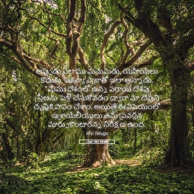 Picture 05 - ఎజ్రా 10:2 TELIRV - అప్పుడు ఏలాము - Bible Verse Picture