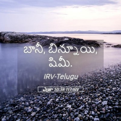 Picture 05 - ఎజ్రా 10:38 TELIRV - బానీ, బిన్నూయి, - Bible Verse Picture