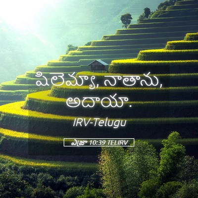 Picture 05 - ఎజ్రా 10:39 TELIRV - షిలెమ్యా, నాతాను, - Bible Verse Picture