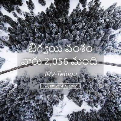 Picture 05 - ఎజ్రా 2:14 TELIRV - బిగ్వయి వంశం వారు - Bible Verse Picture