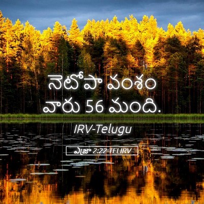 Picture 05 - ఎజ్రా 2:22 TELIRV - నెటోపా వంశం వారు 56 - Bible Verse Picture