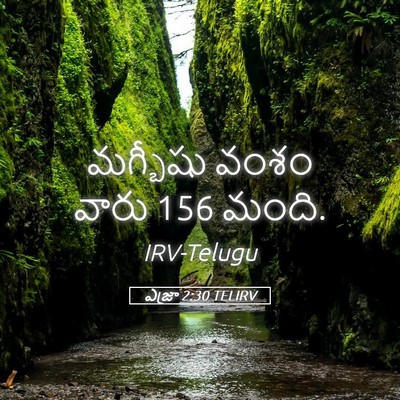 Picture 05 - ఎజ్రా 2:30 TELIRV - మగ్బీషు వంశం వారు - Bible Verse Picture