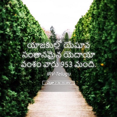 Picture 05 - ఎజ్రా 2:36 TELIRV - యాజకుల్లో యేషూవ - Bible Verse Picture