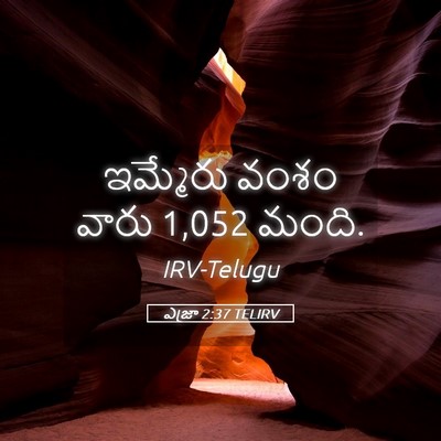 Picture 05 - ఎజ్రా 2:37 TELIRV - ఇమ్మేరు వంశం వారు - Bible Verse Picture
