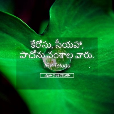 Picture 05 - ఎజ్రా 2:44 TELIRV - కేరోసు, సీయహా, - Bible Verse Picture