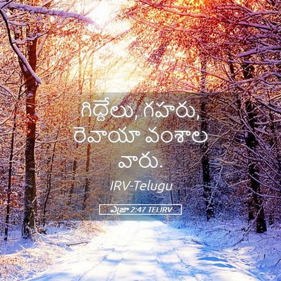 Picture 05 - ఎజ్రా 2:47 TELIRV - గిద్దేలు, గహరు, - Bible Verse Picture