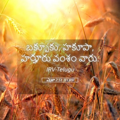 Picture 05 - ఎజ్రా 2:51 TELIRV - బక్బూకు, హకూపా, - Bible Verse Picture
