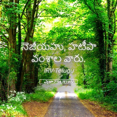 Picture 05 - ఎజ్రా 2:54 TELIRV - నెజీయహు, హటీపా - Bible Verse Picture