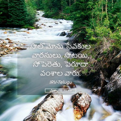 Picture 05 - ఎజ్రా 2:55 TELIRV - సొలొమోను సేవకుల - Bible Verse Picture