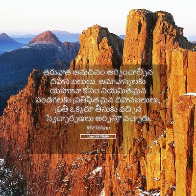 Picture 05 - ఎజ్రా 3:5 TELIRV - తరువాత అనుదినం - Bible Verse Picture