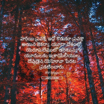 Picture 05 - ఎజ్రా 5:1 TELIRV - హగ్గయి ప్రవక్త, - Bible Verse Picture