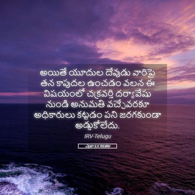 Picture 05 - ఎజ్రా 5:5 TELIRV - అయితే యూదుల - Bible Verse Picture