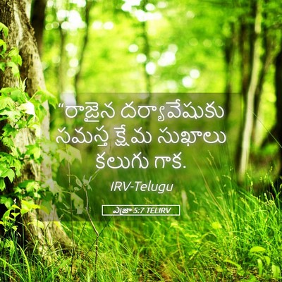 Picture 05 - ఎజ్రా 5:7 TELIRV - “రాజైన - Bible Verse Picture