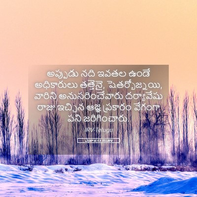 Picture 05 - ఎజ్రా 6:13 TELIRV - అప్పుడు నది ఇవతల - Bible Verse Picture