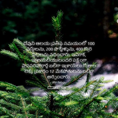 Picture 05 - ఎజ్రా 6:17 TELIRV - దేవుని ఆలయ - Bible Verse Picture