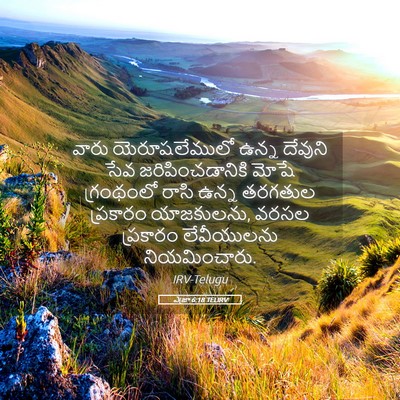 Picture 05 - ఎజ్రా 6:18 TELIRV - వారు యెరూషలేములో - Bible Verse Picture