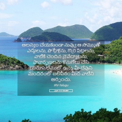 Picture 05 - ఎజ్రా 7:17 TELIRV - ఆలస్యం చేయకుండా - Bible Verse Picture