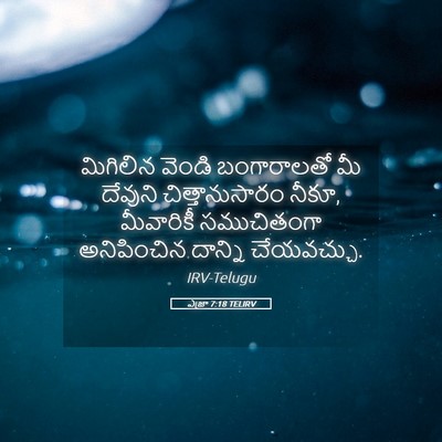 Picture 05 - ఎజ్రా 7:18 TELIRV - మిగిలిన వెండి - Bible Verse Picture