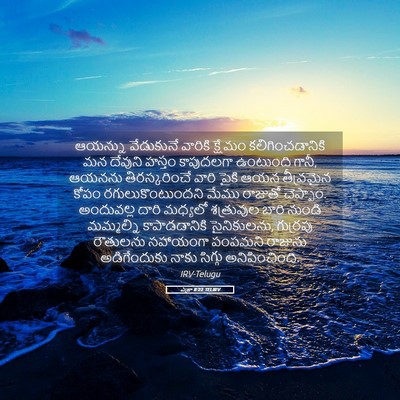 Picture 05 - ఎజ్రా 8:22 TELIRV - ఆయన్ను వేడుకునే - Bible Verse Picture