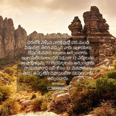 Picture 05 - ఎజ్రా 8:35 TELIRV - చెరలోకి వెళ్ళిన - Bible Verse Picture