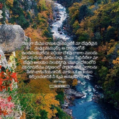 Picture 05 - ఎజ్రా 9:9 TELIRV - నిజంగా మేము - Bible Verse Picture