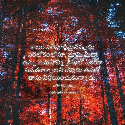 Picture 05 - ఎఫెసీ పత్రిక 1:10 TELIRV - కాలం - Bible Verse Picture