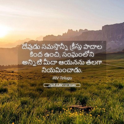 Picture 05 - ఎఫెసీ పత్రిక 1:22 TELIRV - దేవుడు సమస్తాన్నీ - Bible Verse Picture