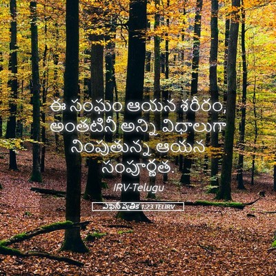 Picture 05 - ఎఫెసీ పత్రిక 1:23 TELIRV - ఈ సంఘం ఆయన శరీరం, - Bible Verse Picture
